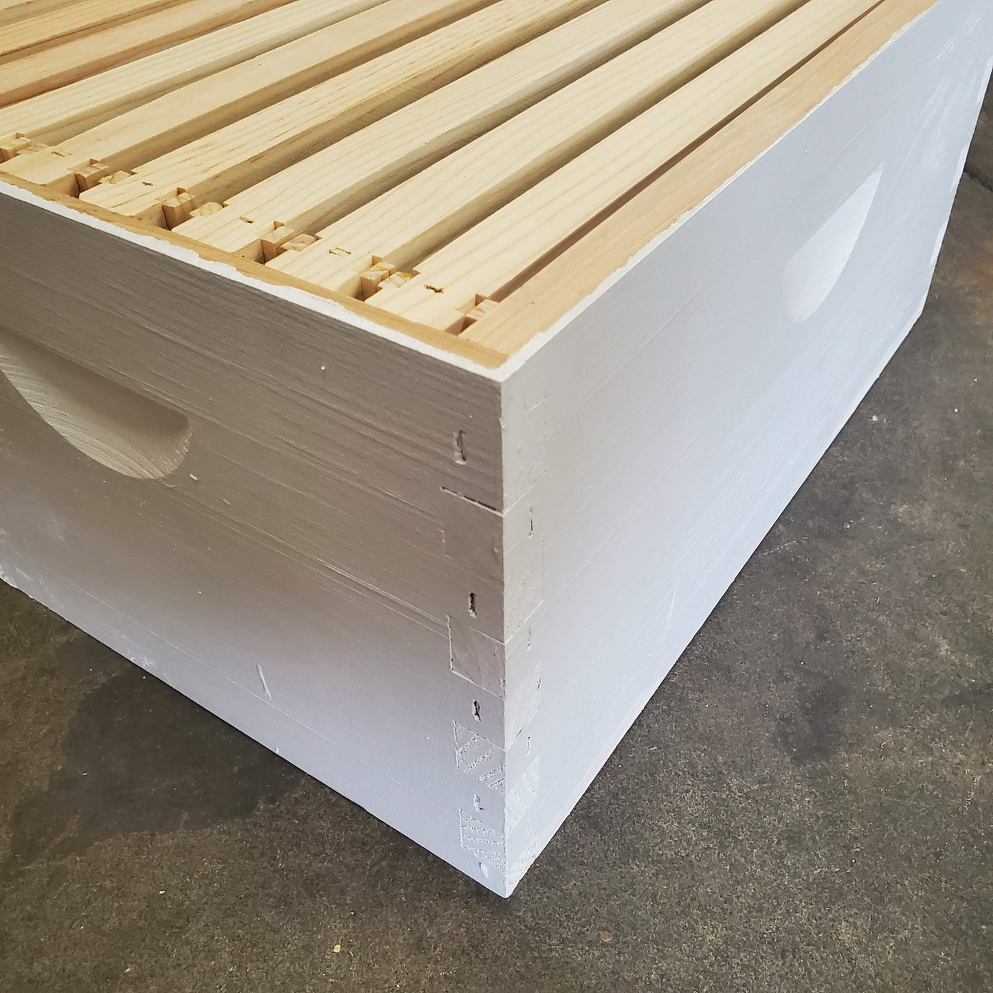 10-Frame Complete, Deep 9 5/8-inch Box with Frames and Foundation