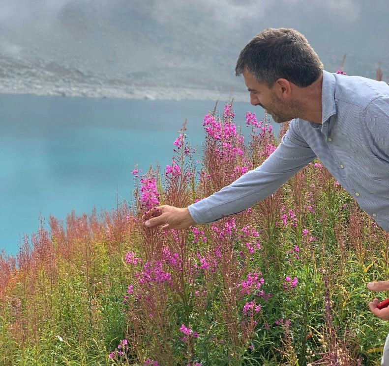 Alpine Wildflower Honey (Italian)