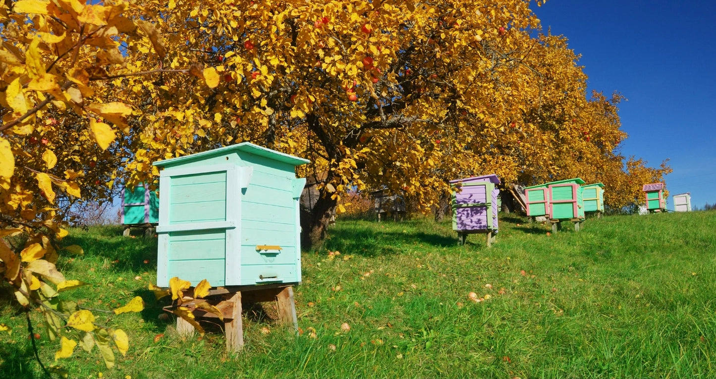 Lychee Honey | Smiley Honey