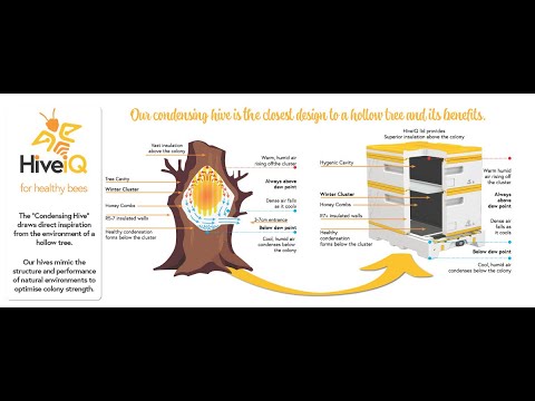HiveIQ Insulated Smart Hive Kit