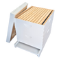 10-Frame Deep and Medium Box Hive Kit