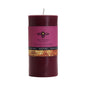 Beeswax Aromatherapy Pillar Candles - Backwoods Auctions