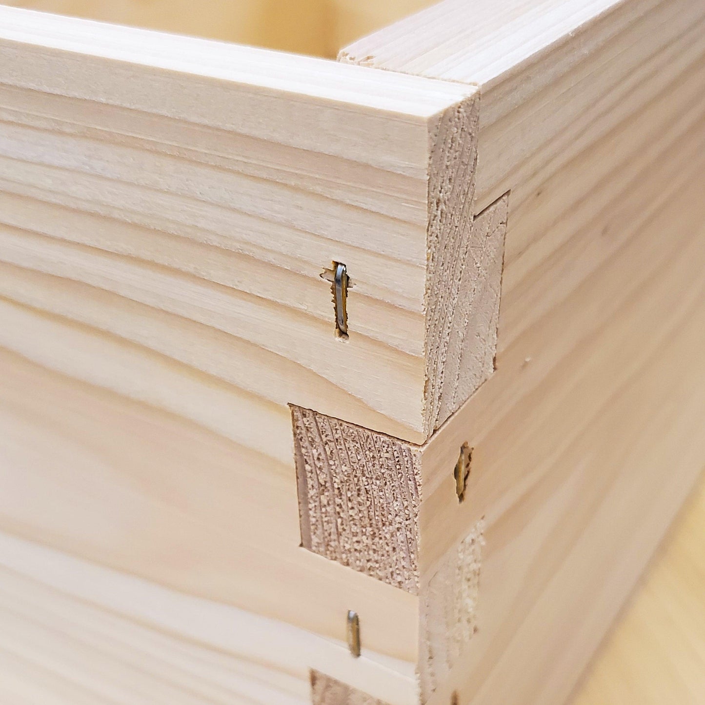 5-Frame Complete, Medium 6 5/8-inch Box with Frames and Foundation