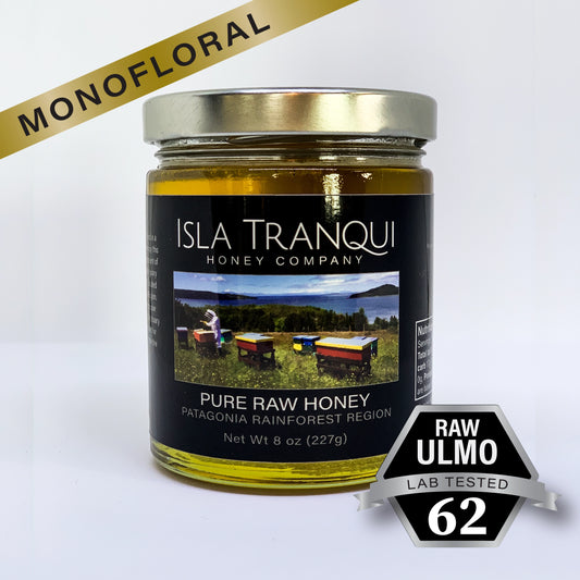 Ulmo 62 Raw Honey from Patagonia Rainforest