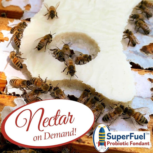 SuperFuel | Probiotic Fondant for Honey Bees