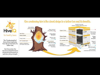 HiveIQ Single Deep Kit