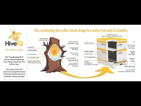 HiveIQ Double Medium Hive Kit