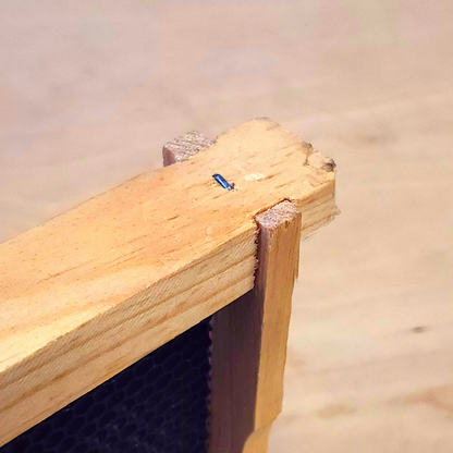 8-Frame Double Deep Box Hive Kit