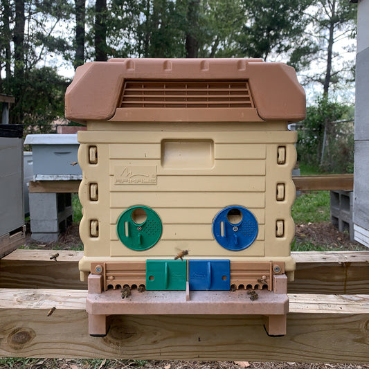 7-Frame Apimaye Hive with Live Bees