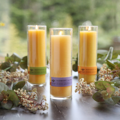 Beeswax Aromatherapy Sanctuary Glass Candles - Backwoods Auctions