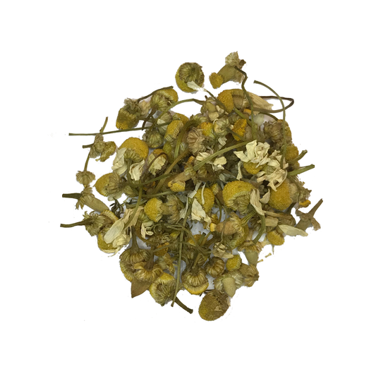 Chamomile - Egyptian