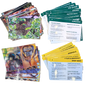 Educational Beekeeping Cards