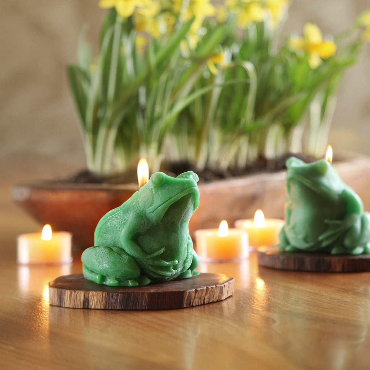 Beeswax Frog Candle - Backwoods Auctions