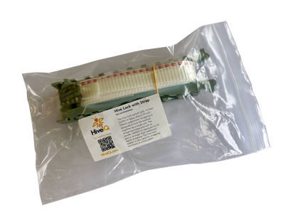 Beehive Lock with Strap