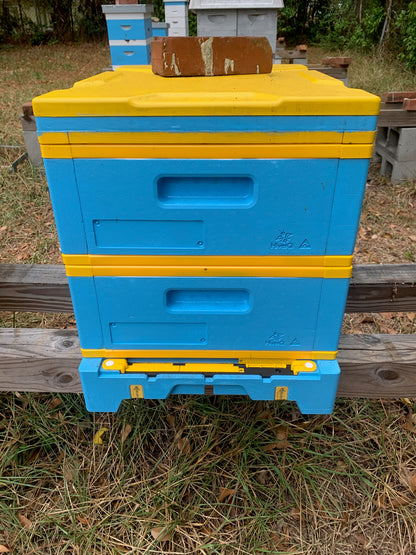HiveIQ Double Medium Hive Kit