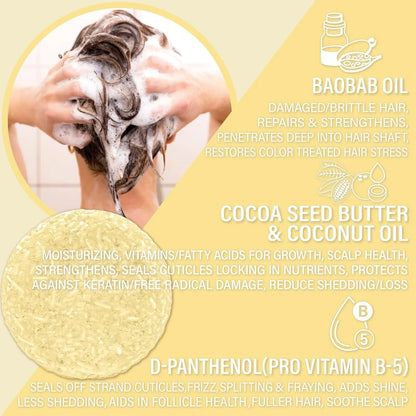 EPS yellow bee hive close-up showing hexagonal honeycomb structure