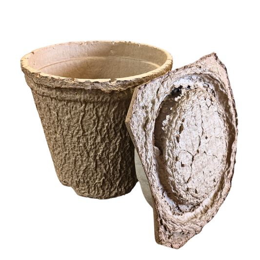 Swarm Trap - Pressed Flower Pot Style