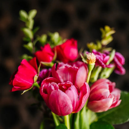 Close-up of vibrant red and pink flowers with green foliage in natural light