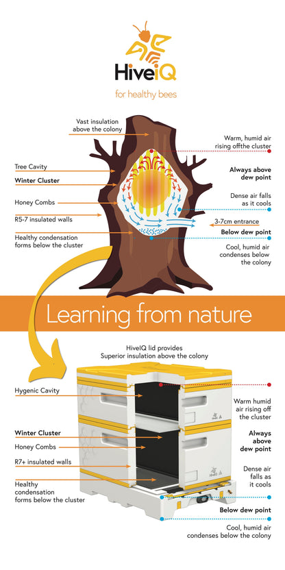 Three Deep Beehive Kit