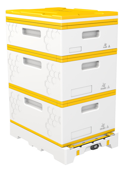 USA Hive Kit (Two Deeps, One Medium)