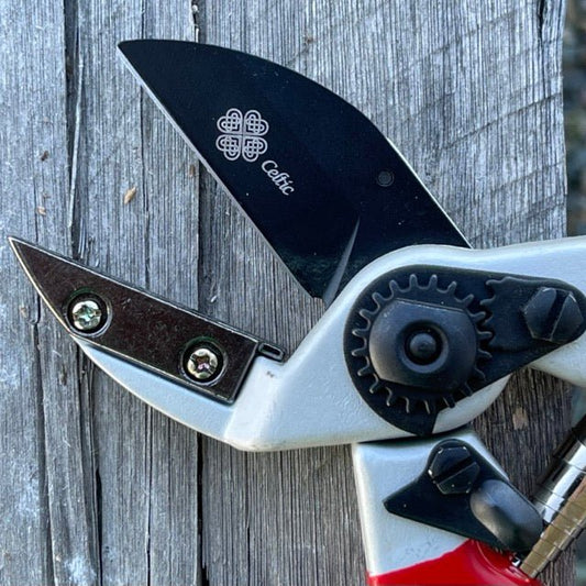 Anvil Pruner - Quality Anvil + Blade Shears - Backwoods Auctions