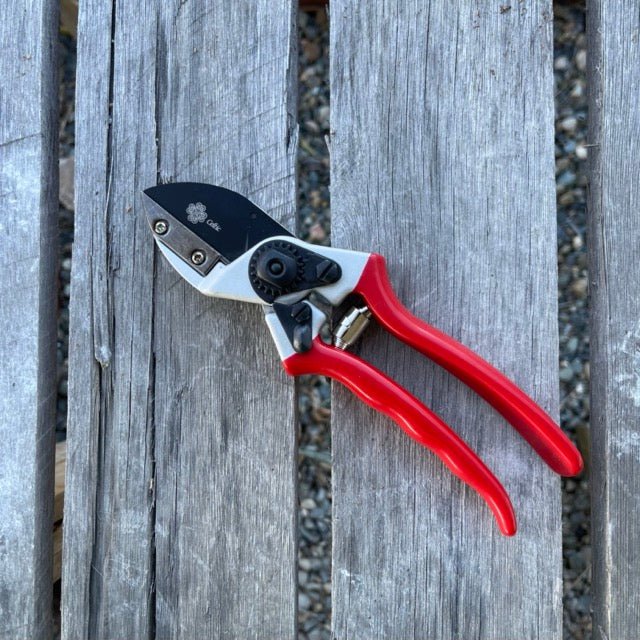 Anvil Pruner - Quality Anvil + Blade Shears - Backwoods Auctions