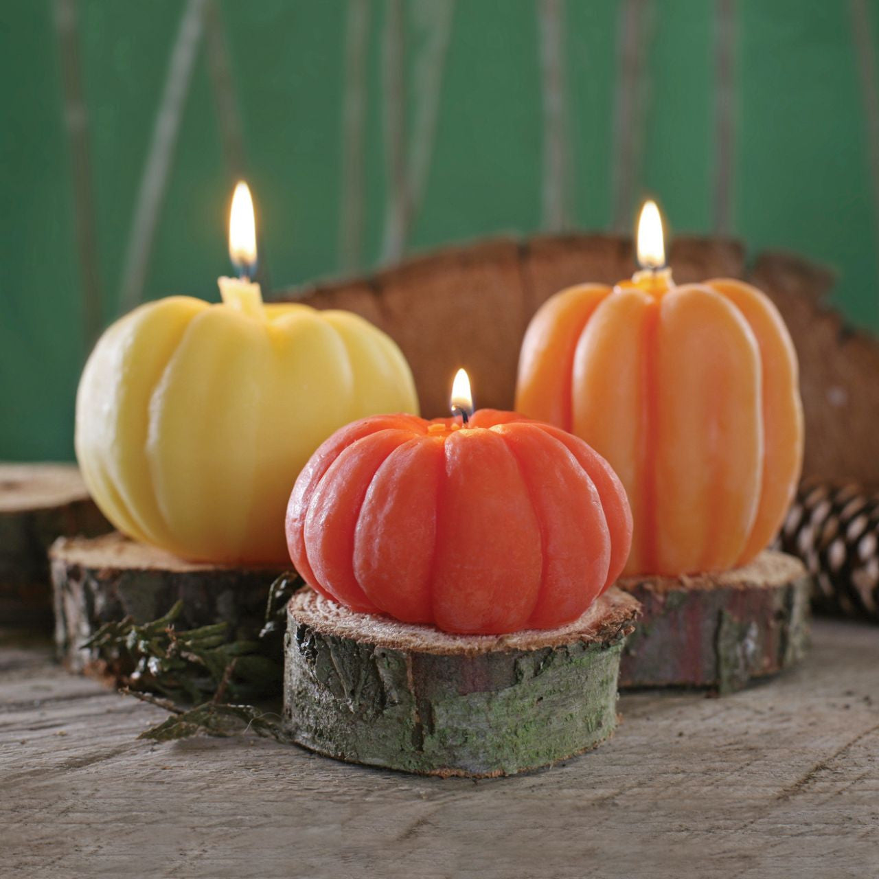 Beeswax Pumpkin Candles - Backwoods Auctions