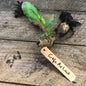Copper Garden Tags with Wire - 5 inches - Backwoods Auctions