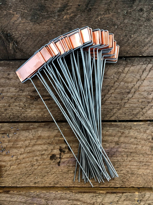 Copper Plant Tags - Garden Markers Set - Backwoods Auctions
