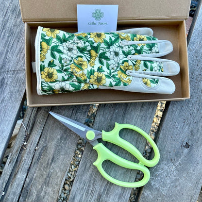 Garden Gift Box - Gloves and Herb Snips - Backwoods Auctions