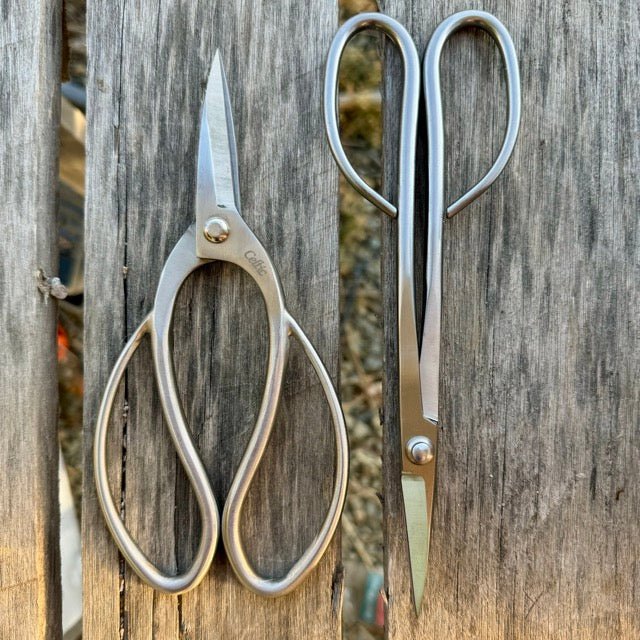 Garden Gift Box - Stainless Garden Scissor Set - Backwoods Auctions