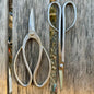 Garden Gift Box - Stainless Garden Scissor Set - Backwoods Auctions