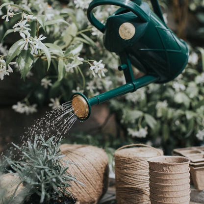 Haws Bartley Burbler - Watering Can - Backwoods Auctions