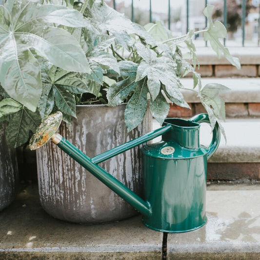 Haws Bearwood Brook - Watering Can - Backwoods Auctions