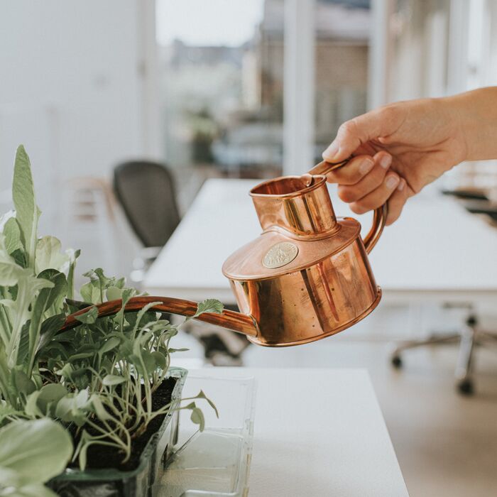 Haws Fazeley - Watering Can - Backwoods Auctions