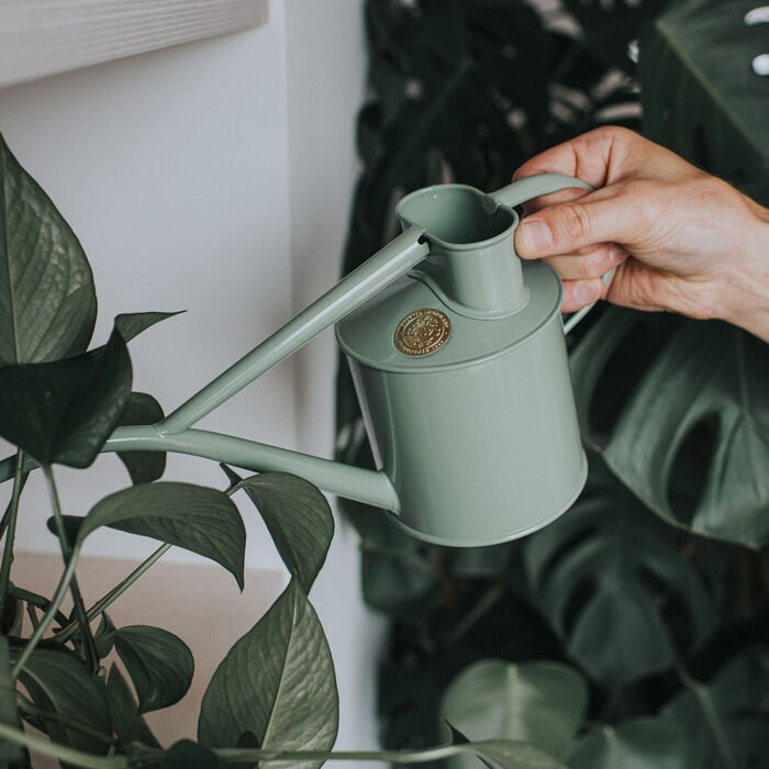 Haws Fazeley - Watering Can - Backwoods Auctions