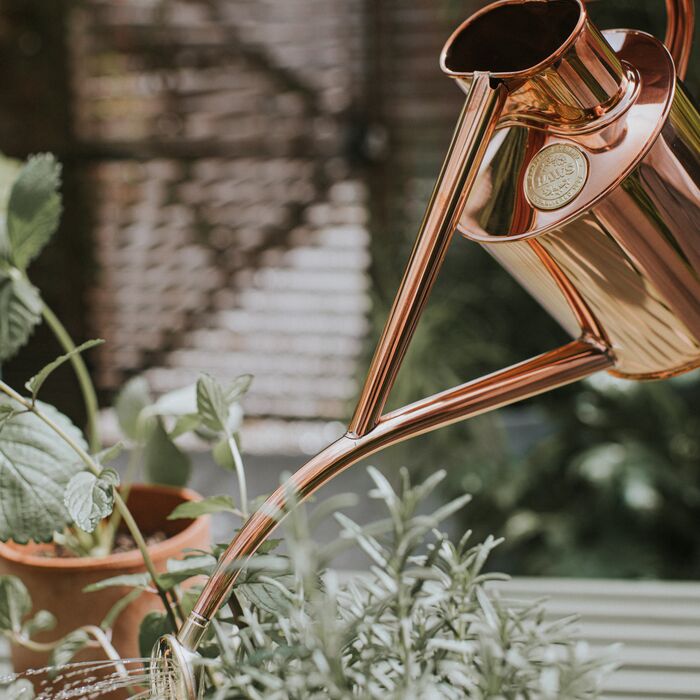Haws Rowley Ripple - Watering Can - Backwoods Auctions
