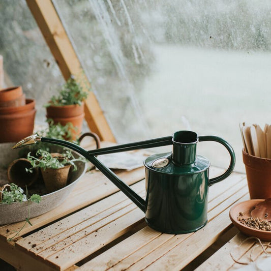 Haws Rowley Ripple - Watering Can - Backwoods Auctions