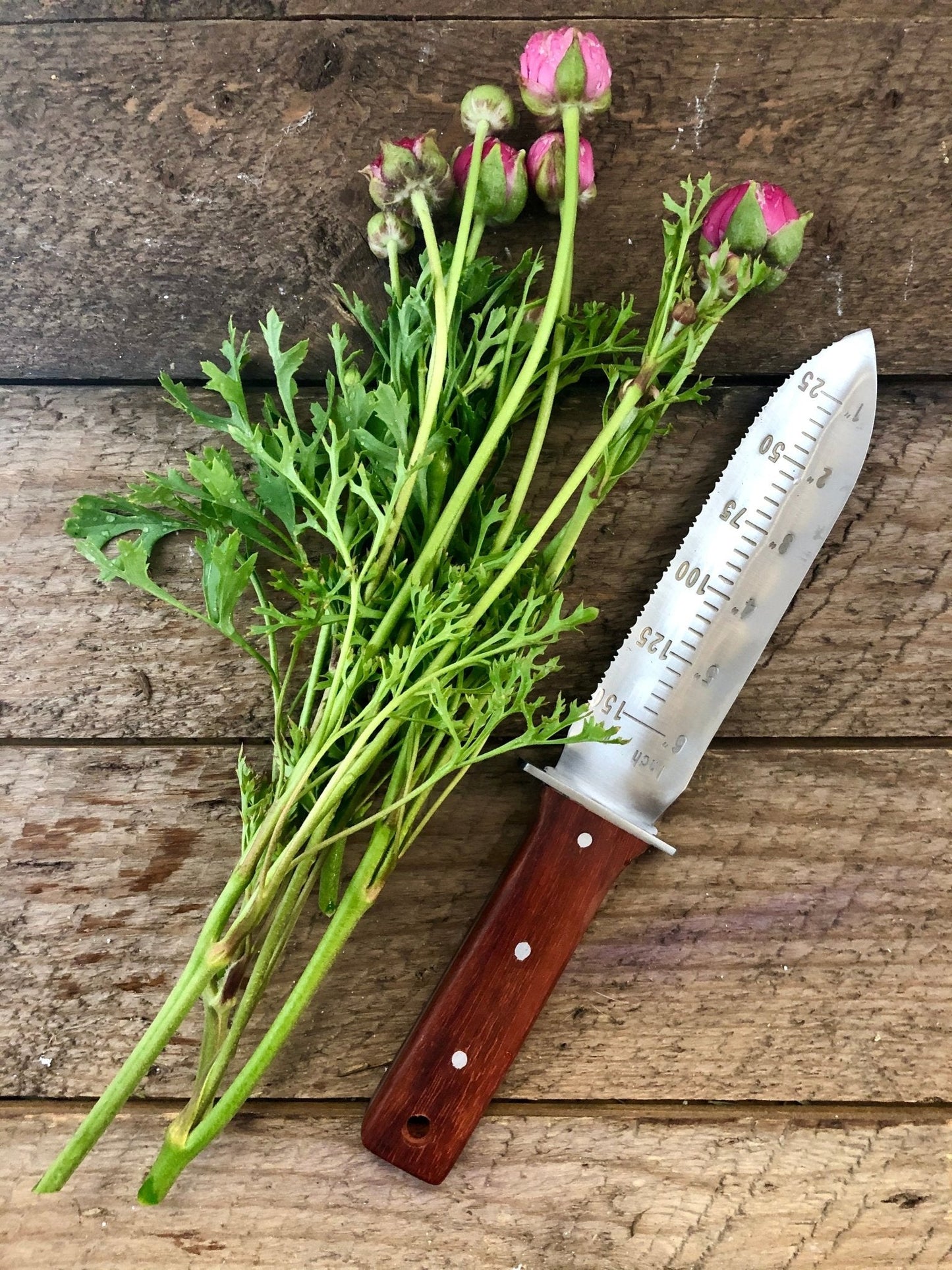 Gardening Gift Box - Belt, Hori Hori and Pruners - Backwoods Auctions