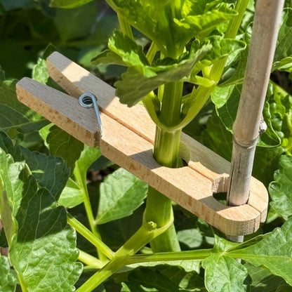 Plant Clamps - Replacement for Ties - Backwoods Auctions