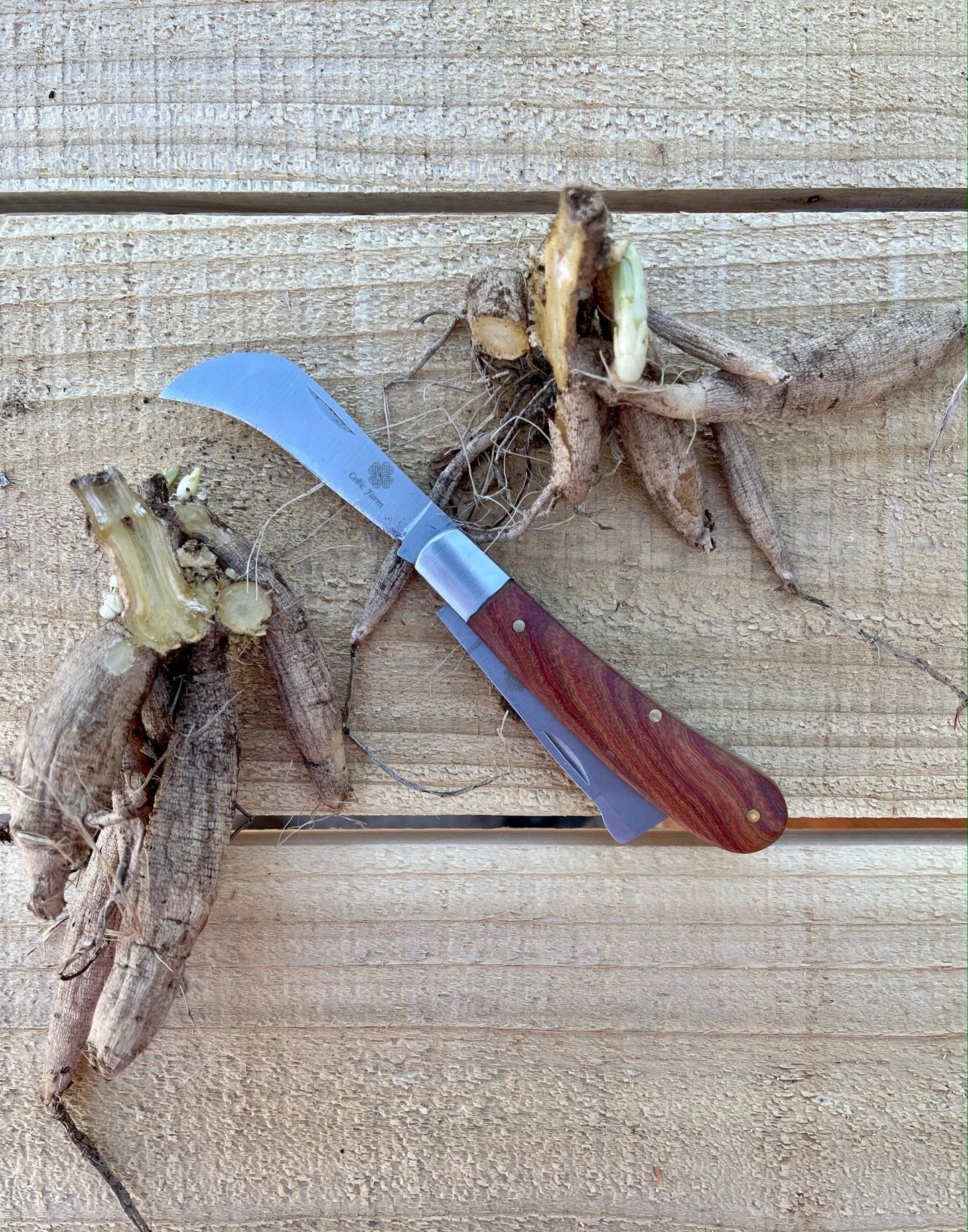 Professional Gardener's Knife - For Pruning, Grafting and Propagation - Backwoods Auctions