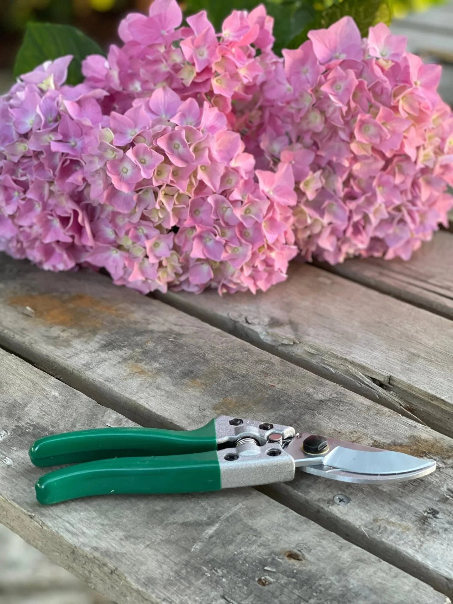 Rose Gardener Gift Box | Rose Gloves, Belt & Pruners - Backwoods Auctions