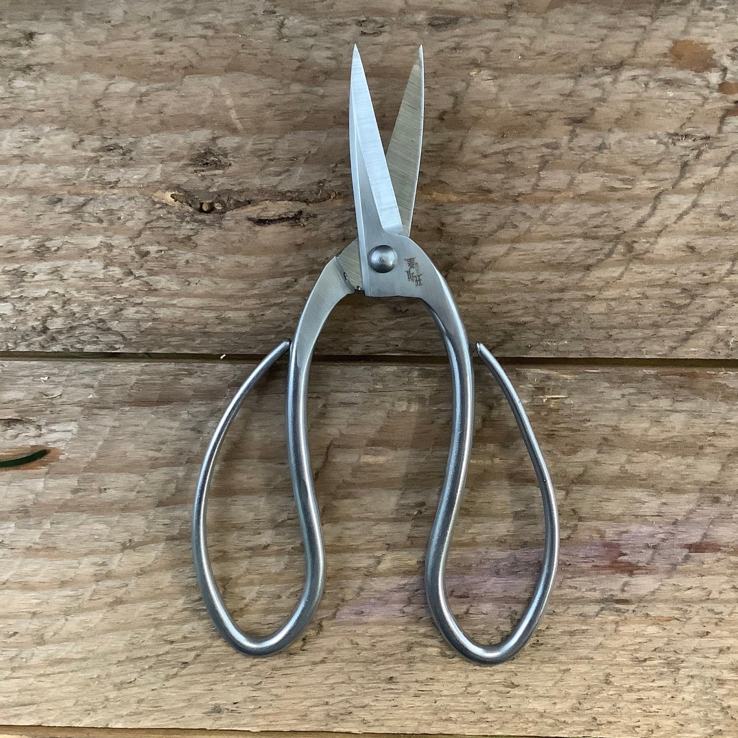 Stainless Garden Scissors (Pruning Shears/Pruners/Secateurs/Clippers) - Backwoods Auctions