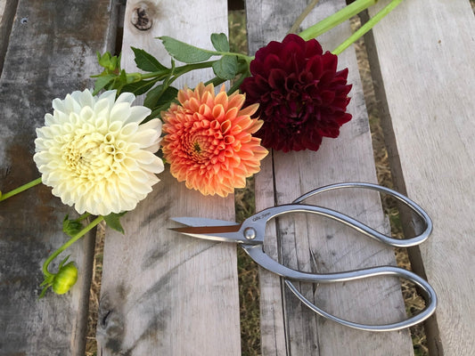 Stainless Garden Scissors (Pruning Shears/Pruners/Secateurs/Clippers) - Backwoods Auctions