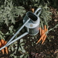 The Warley Fall - Two Gallon HDG in Galvanized - Backwoods Auctions