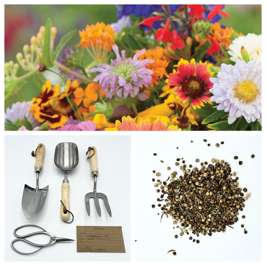 Wild for Wildflowers - Our Grow Kit Gift Box with Wildflowers - Backwoods Auctions