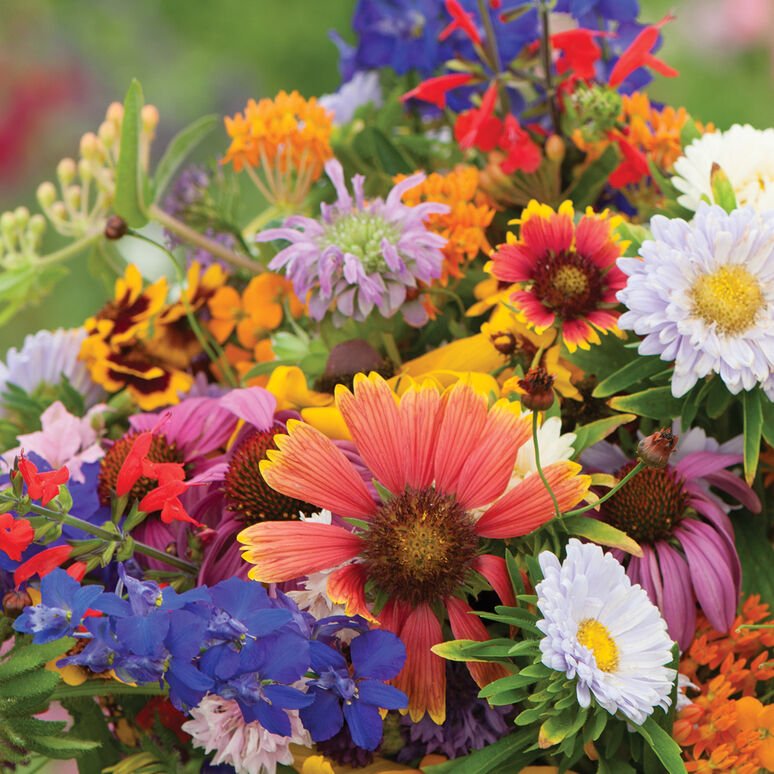 Wild for Wildflowers - Our Grow Kit Gift Box with Wildflowers - Backwoods Auctions