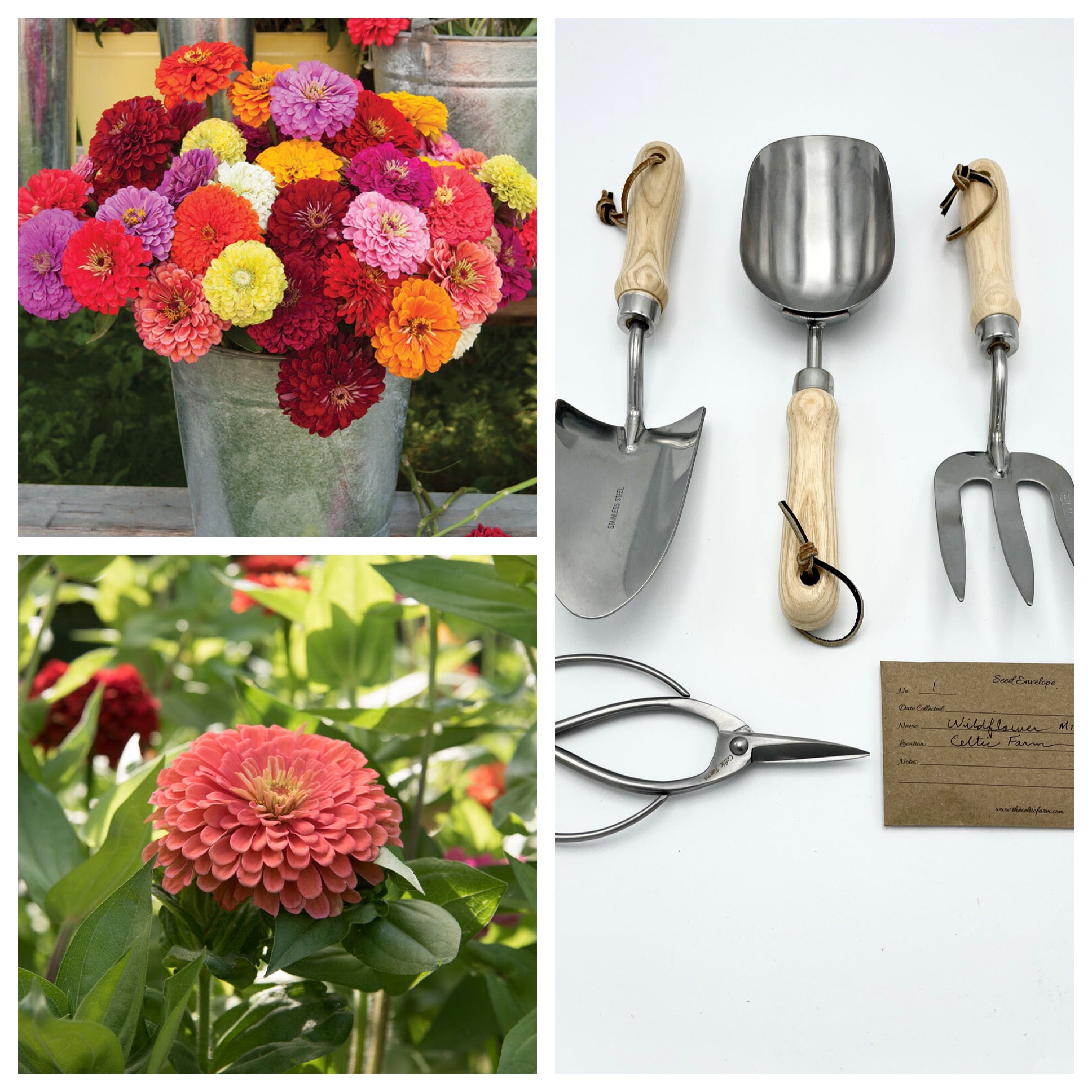 Zany for Zinnias - Our Grow Kit Gift Box with Zinnias - Backwoods Auctions