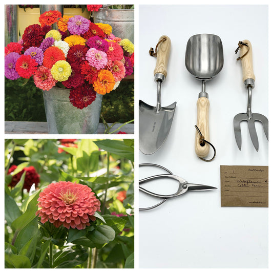 Zany for Zinnias - Our Grow Kit Gift Box with Zinnias - Backwoods Auctions